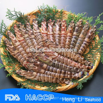 HL002 mejores exportaciones de langostino congelado